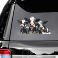 thumbnail image 2 of Lotusprinthandmade Cow Lovers Transparent Vinyl Decal 12x12 Inches, Cow Car Decal, Cattle Car Decal, 2 of 4