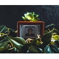 thumbnail image 3 of Minimacetero Silver Buffalo Stranger Things Missing Barb, 3 of 8