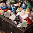 thumbnail image 2 of Shell Fossil Paleontology Fossil Fun Science Ornaments Teaching Props Fossils, 2 of 7