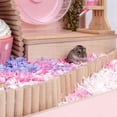 thumbnail image 4 of 2 In 1 Hamster Wooden Ladder Bridge Exercise Play Chewing Toys Cage Decor Natural Landscaping Supplies, 4 of 7