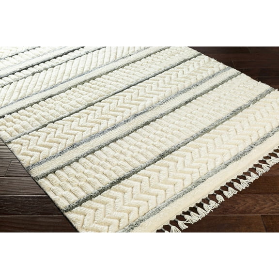 BoutiqueRugs Belconnen Bohemian, Transitional Area Rug - Charcoal, Cream, Gray - 2' x 3'