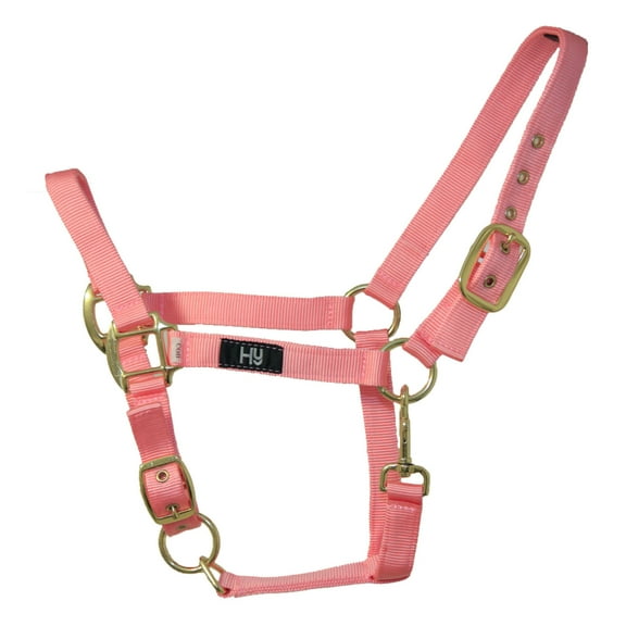 Hy Head Collar equestrian