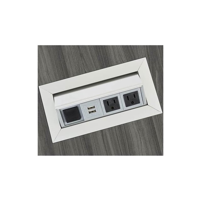 Safco Module de Puissance en Métal avec 2 Prises de Courant et 2 Prises USB en Argent