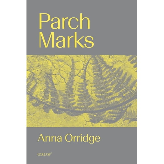 Gold SF Parch Marks, Book 15, (Paperback)