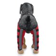 thumbnail image 2 of Double Rear Leg Protection Dog Knee Brace For Acl Knee Cap Dislocation Arthritis Keeps The Warm Extra Support Z, 2 of 5