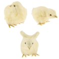 thumbnail image 1 of Figura Animal Modelo 3 Piezas de Pollo Jardín Al Decoración para hogar Pequeño Amarillo, 1 of 7