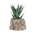 thumbnail image 1 of Mini plantas suculentas frescas, simulación de macetas, plantas en maceta, adorno de bonsái, decoración de escritorio, 1 of 8