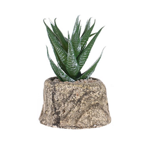 Mini plantas suculentas frescas, simulación de macetas, plantas en maceta, adorno de bonsái, decoración de escritorio