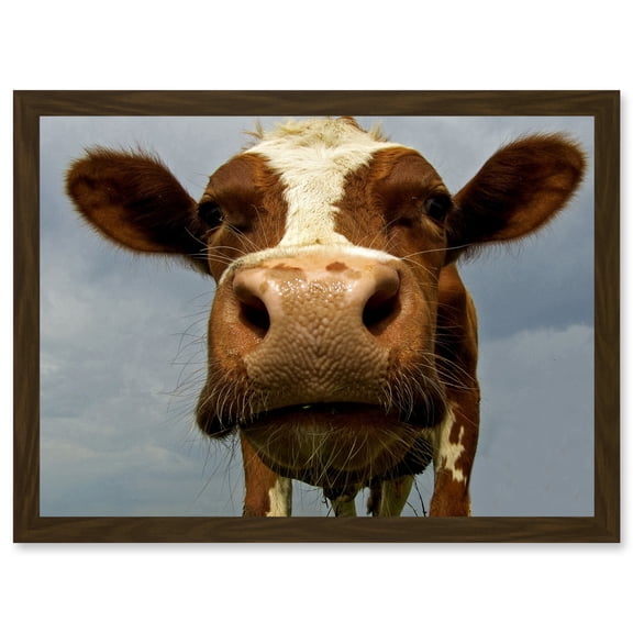 Funny Cow Farm Animal Close Up A4 Artwork Framed Wall Art Print