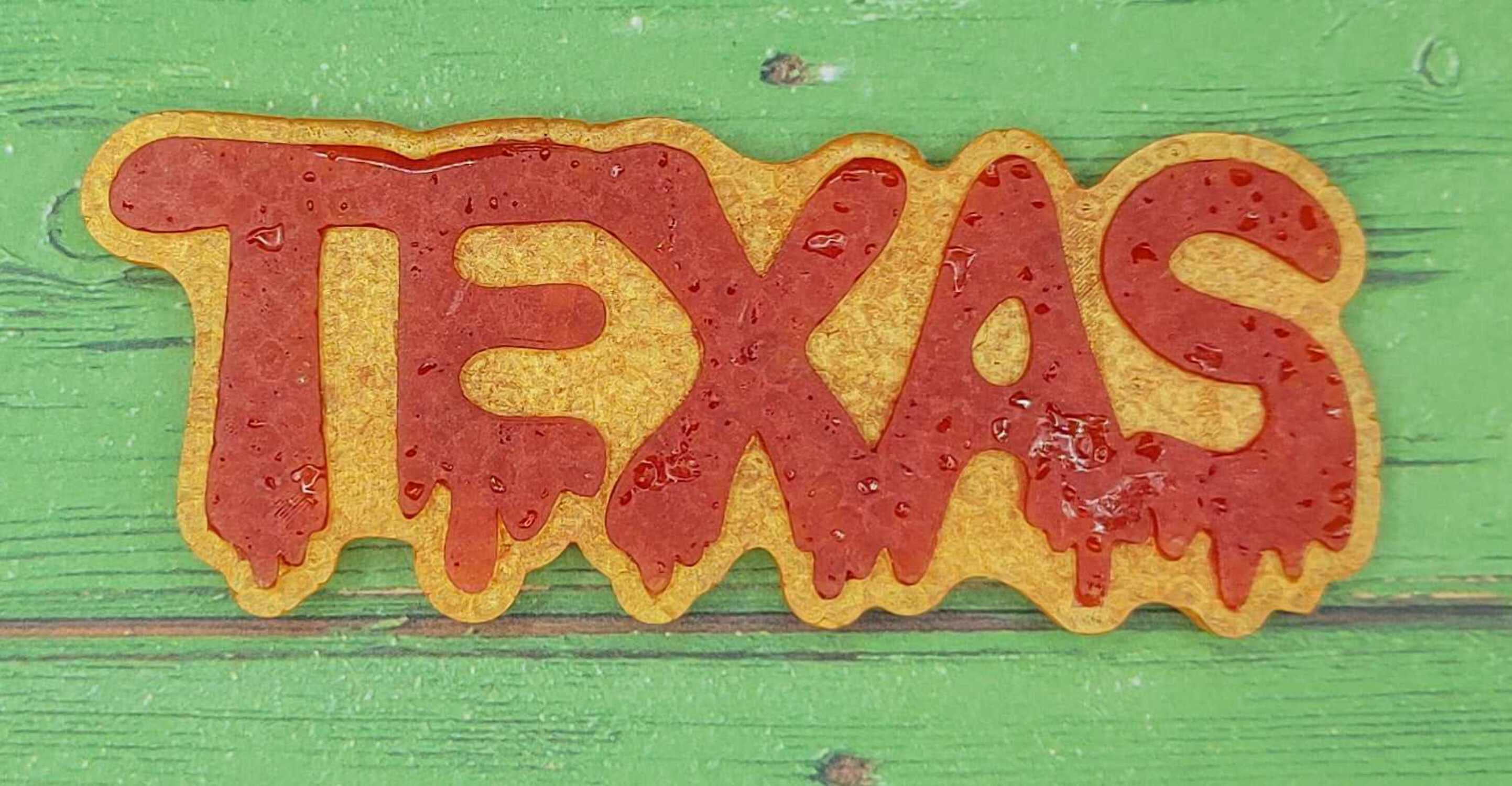 Melting Texas Silicone Freshie Mold