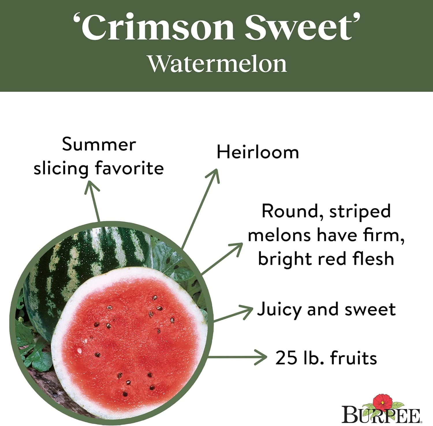 Crimson Sweet Watermelon