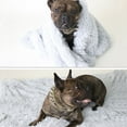 thumbnail image 2 of Pet Blanket Plush Small Animals Mat Warm Soft Pad 2 Layer Carpet Bed Couch Throw Rug, Light Gray, L, 2 of 9