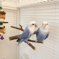 thumbnail image 4 of Multi Stand Branch Parrot Perch Bird Cage Toys Natural Bird Perch Stand For Small Budgies Conure Parrot Parakeets, 4 of 8