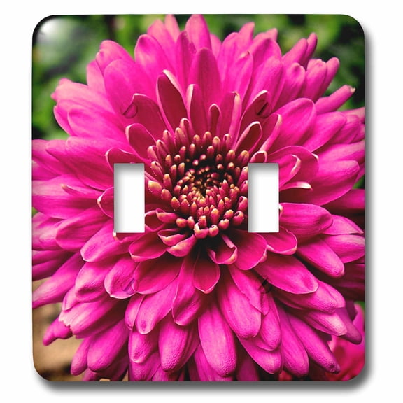 3dRose, Pink Jenna Dahlia Flower, double toggle switch
