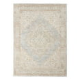 thumbnail image 6 of Amer Rugs Century Collection 8x10 Area Rug, Medallion Rugs for Living Room, Bedroom, Kitchen, Office, Pet Friendly, Ultra Low Pile, High Traffic Area, Stain Resistance - Gray/Ivory, 6 of 6