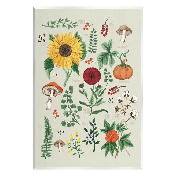 Stupell Industries Botanical & Seeds Study Botanical & Floral Painting Unframed Art Print Wall Art, 10 x 15