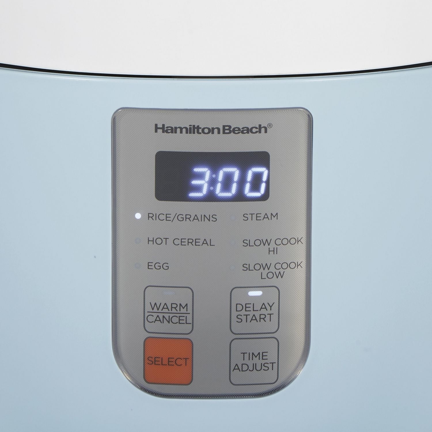 Hamilton Beach Multi-Function Rice Cooker 37561