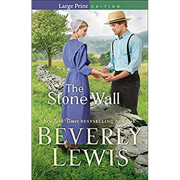 Pre-Owned Stone Wall (Paperback) 0764233289 9780764233289