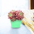 thumbnail image 3 of IFANLANDOR 3Pack Small Flower Pots Lightweight Design for Windowsill and Bookshelf 7X8CM, 3 of 7