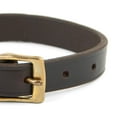 thumbnail image 5 of Jeffers Pet Flat Leather Dog Collar with Brass Hardware - Chestnut 3/4" x 15", 5 of 8