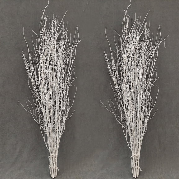 30 Pcs Real Dried Birch Branches,19.7 Inch Natural Birch Twigs for Vase, Centerpiece,Natural Decorative Birch Branches for Crafts, DIY Floral Arrangements Wreath Wedding Centerpiece Home Decor