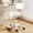 White, variant on XUEGW Swivel Rolling Saddle Chair with Back Support, Thick Padded Seat Ergonomic Stool with Wheels, Suitable for Hair Salon, Dental Clinic, Spa, Massage Studio, Office & Home, Black