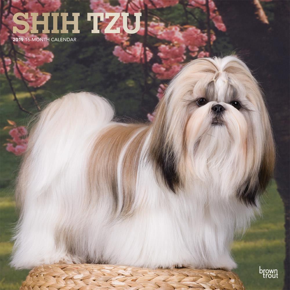 shih tzu stuffed animal walmart