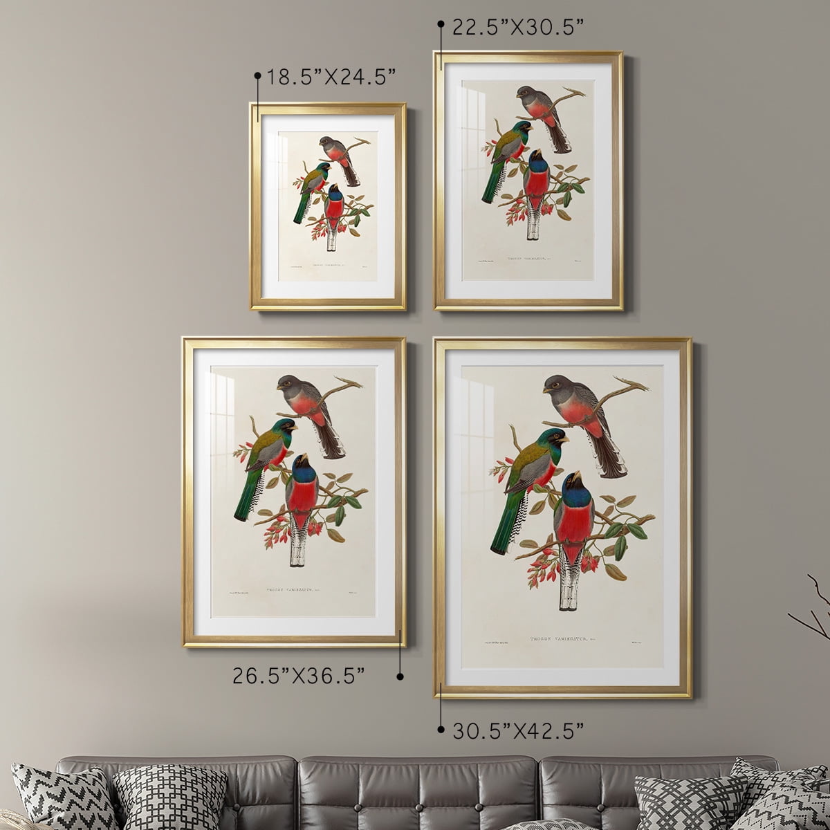 Wexford Home Elegant Trogons IX Premium Framed Print, 22.5" x 30.5" - Ready to Hang, Gold (Set of 2)