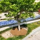 thumbnail image 5 of Injueey 4 unidades de protección de invierno para plantas que no dejan que el frío dañe el jardín. Plantas que prosperan con una Jardín y Patio 30*30CM, 5 of 6