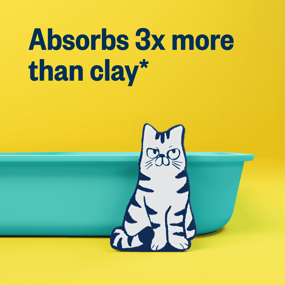 (2 pack) Business Cat Litter Unscented Clumping Natural 6 lb Box