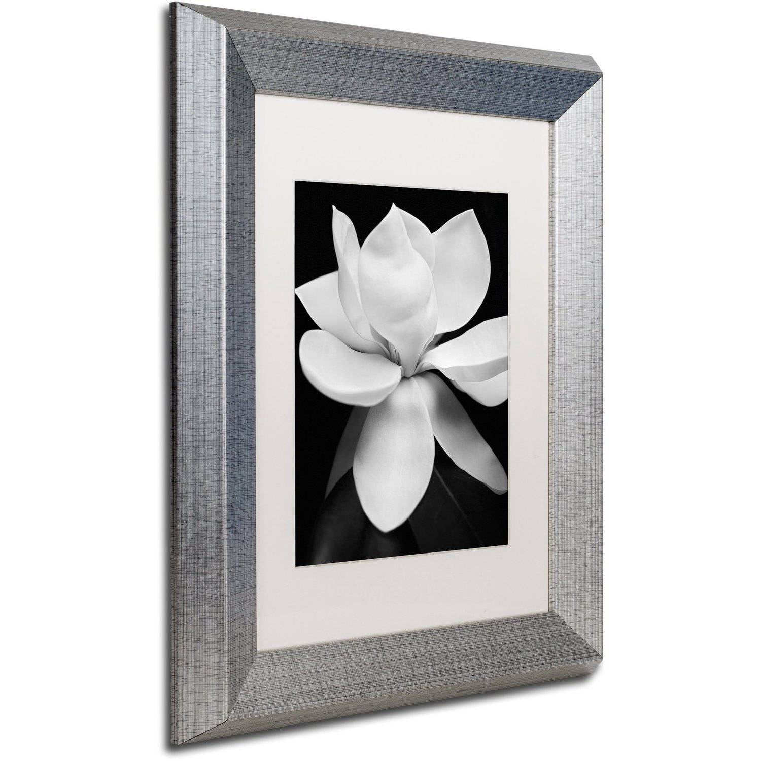 Trademark Fine Art "Magnolia" Canvas Art by Michael Harrison White Matte, Silver Frame
