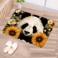 thumbnail image 5 of Panda Polyester Non-Slip Machine Washable Outdoor Floor Rug Chair Rugs Bath Rugs, 5 of 6