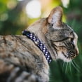 thumbnail image 2 of Buckle-Down Breakaway Cat Collar With Bell, Plastic Clip, Easy Adjustable, Colfax Green Stripe Weathered, 8.5 to 12 Inches 0.5 Inch Wide, 2 of 4