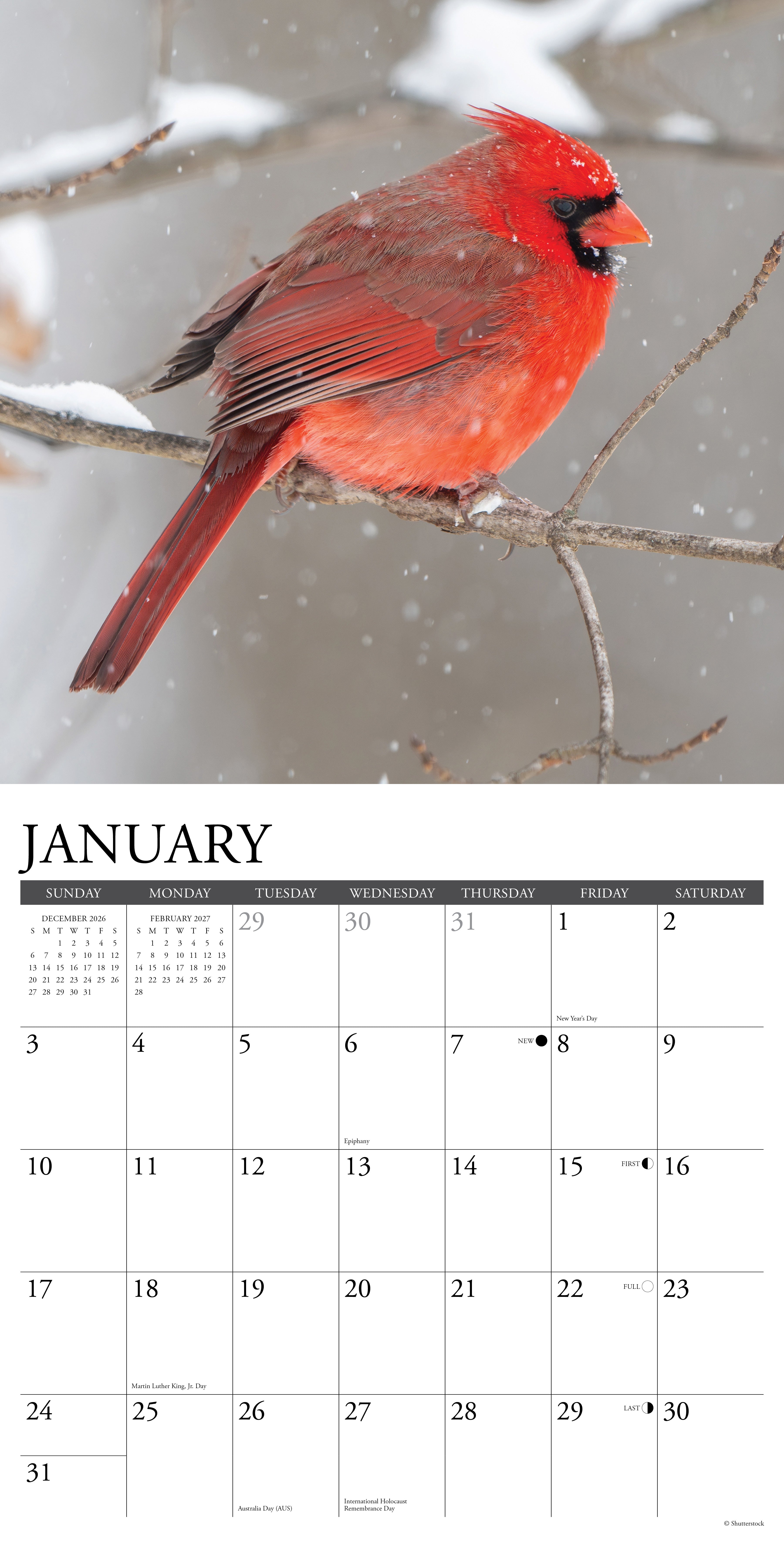 Willow Creek Press, Cardinals 2027 Wall Calendar