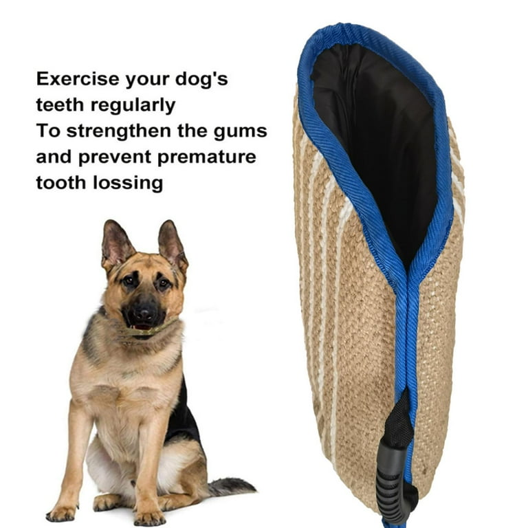 Professional dog top training equipment