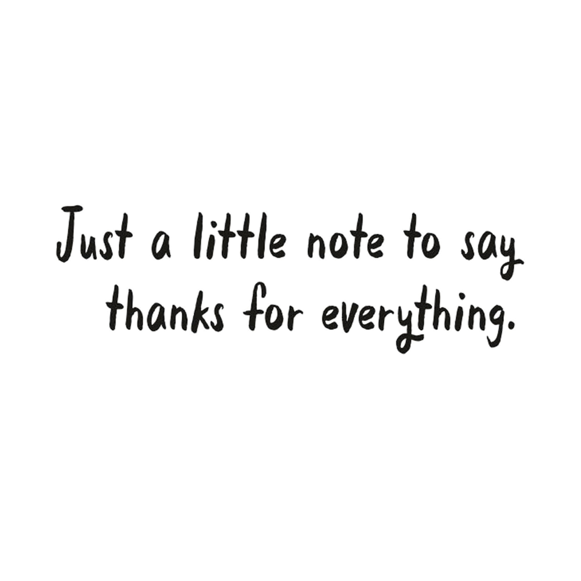 Hallmark Thank You Card (Just a Little Note)