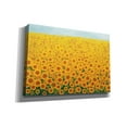 thumbnail image 2 of Epic Graffiti 'Field of Sunflowers' by Seven Trees Design, Giclee Canvas Wall Art, 26"x18", 2 of 8