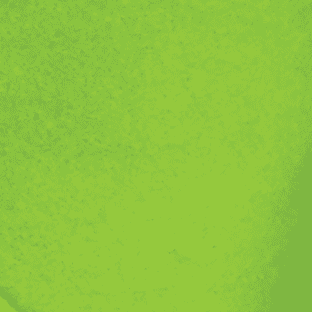 The Ribbon People Club Pack of 12 Gaelic Green Folded Felt Containers 3"