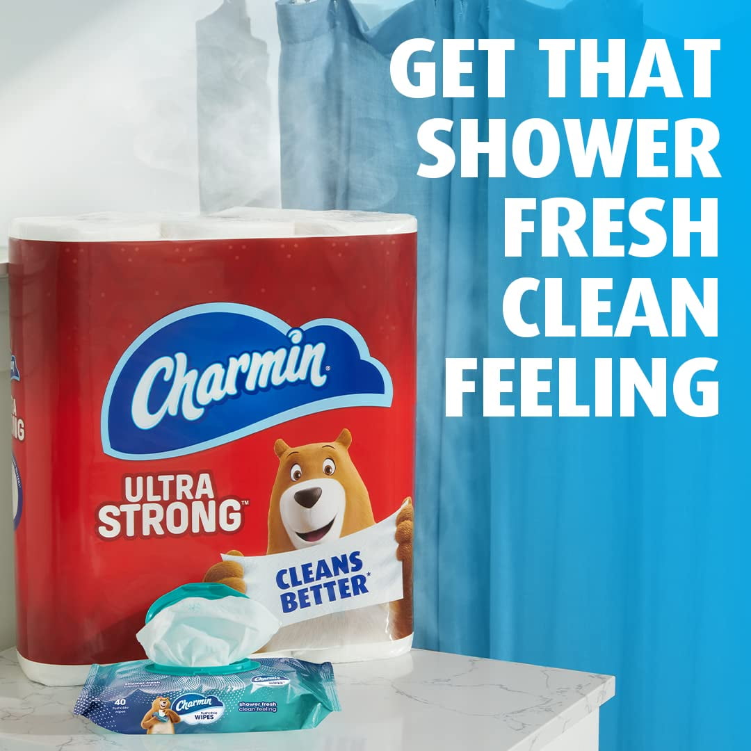 Charmin Flushable Wipes, (Pack of 4)