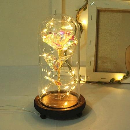 

Gold Plated Rose Glass Lamp LED Lighted Golden Flower LED Lighted Night Light Night Lights Plug Into Wall Night Light for Kids Battery Night Light Night Lights Motion Sensor Night Light Kids Night