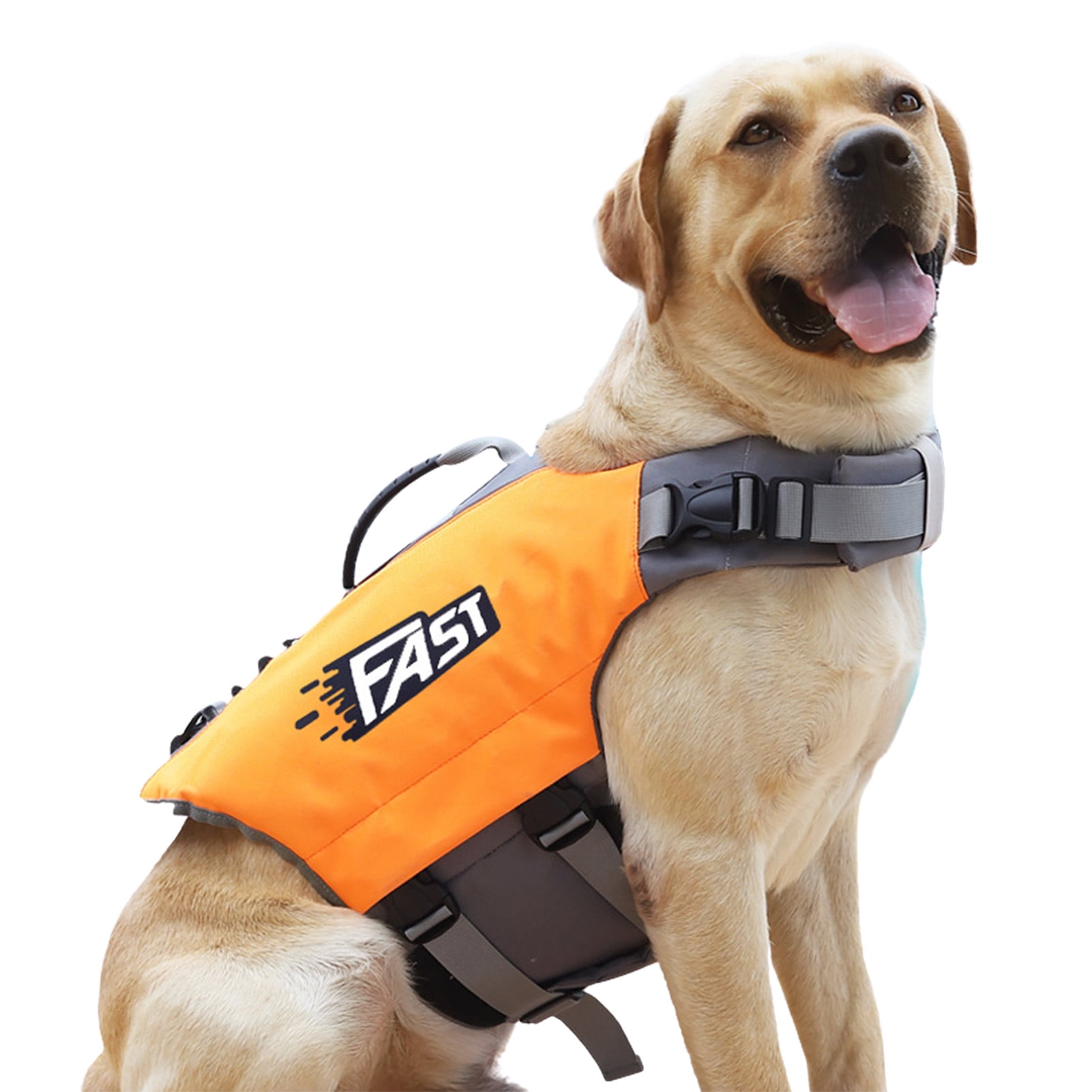 service dog life vest