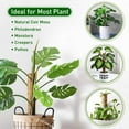thumbnail image 3 of Visland Moss Coir Plant Support Stakes, Climbing Plant Support, Coconut Moss Rods for Indoor Plants, Monstera Adansonii, Creeper, 3 of 8