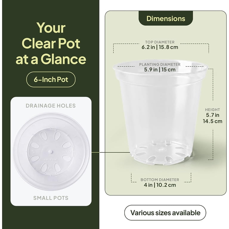 6 Inch Size 6 Inch Clear Nursery Pots with Drainage | in Multiple Sizes Small ...