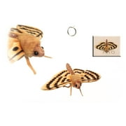 Hansa Moth Plush Toy