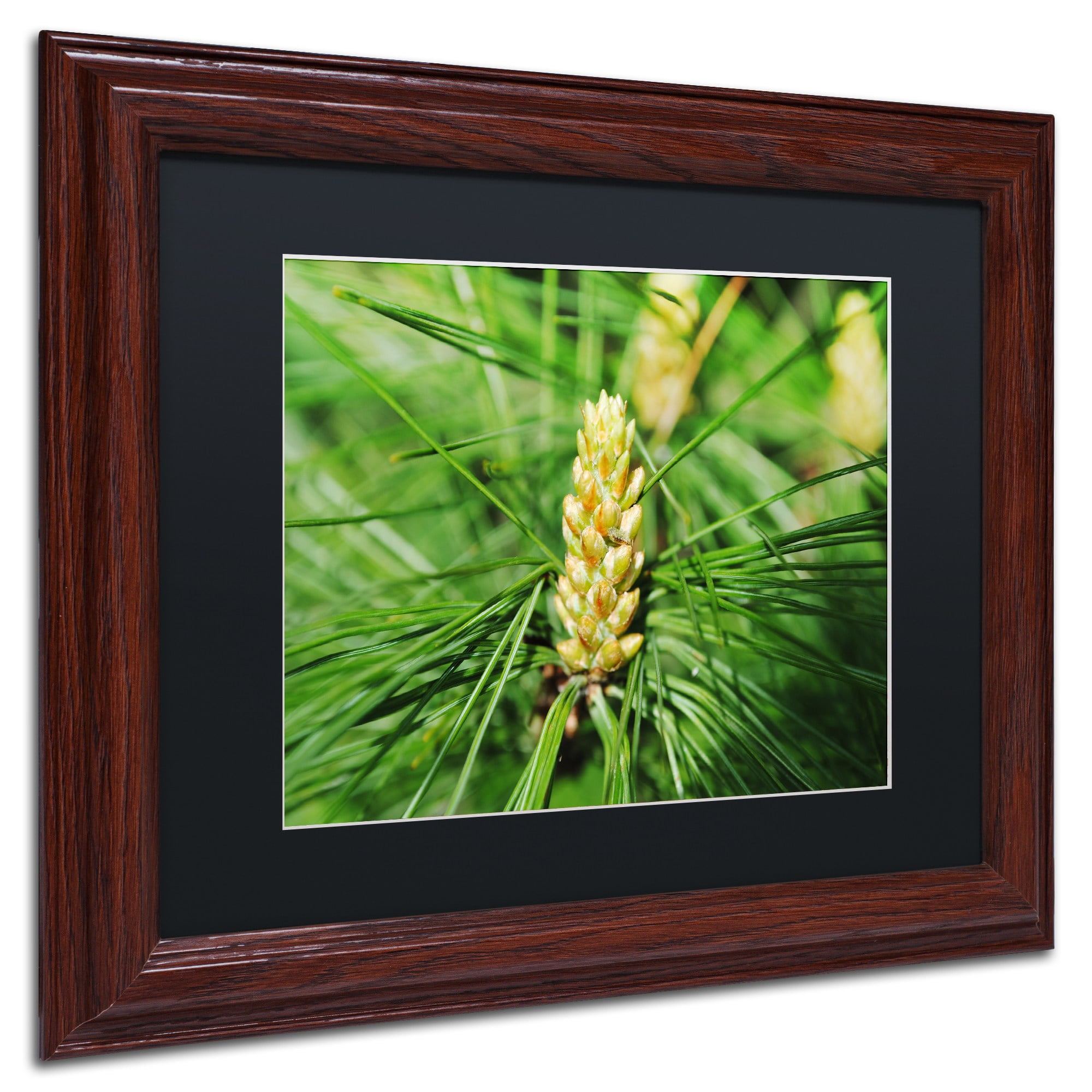 Trademark Fine Art "The Start" Canvas Art by Monica Mize, Black Matte, Wood Frame