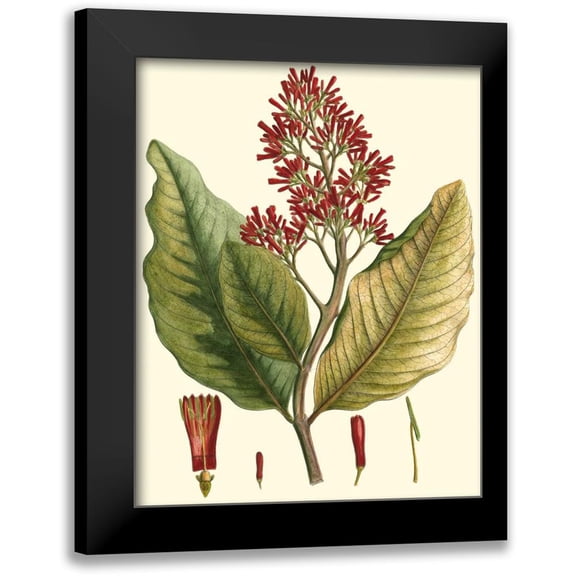 Hierseman 12x14 Black Modern Framed Museum Art Print Titled - Crimson Botanical II