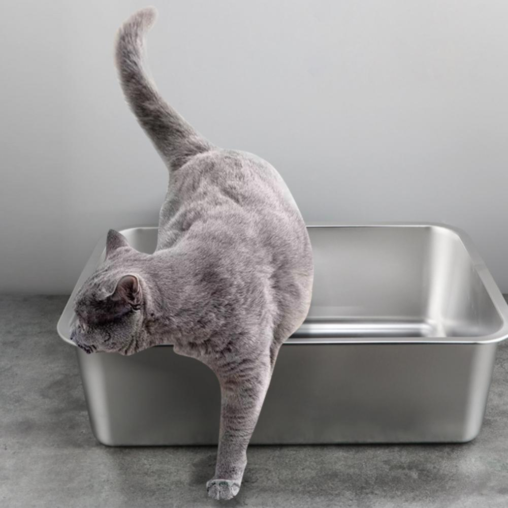 QUTETN Rectangle Stainless Steel Cat Litter Box Broken-resistant Low Entry Open Spacious Metal Litter Pan Pet Accessories