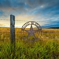 thumbnail image 5 of BestGiftEver Metal Star Outdoor 24" Circle with God Bless Texas Sign | Rustic Texas Decor & Wall Decoration | Perfect Texas Wall Art & Gift for Country Home Enthusiasts, 5 of 9
