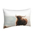 thumbnail image 2 of Naloa Yak Pillowcase, Throw Pillowcase, Wrinkle-Free, Stain-Resistant with Hidden Zipper for Bedroom Sofa - 14"x20", 2 of 9