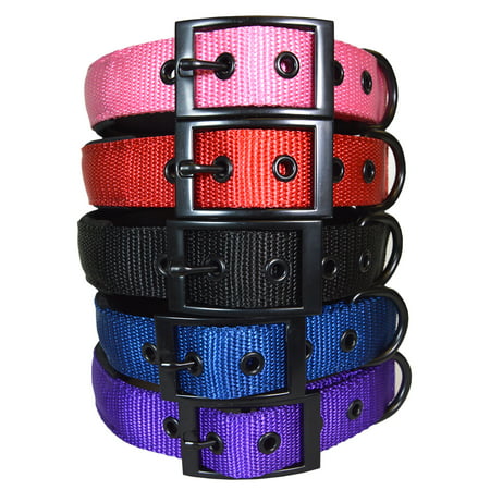 Best Padded Designer Dog and Puppy Collar (Best Dog Cooling Collar)